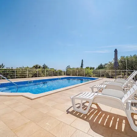 Villa House Pelegrin With Pool By Guide Vela Luka